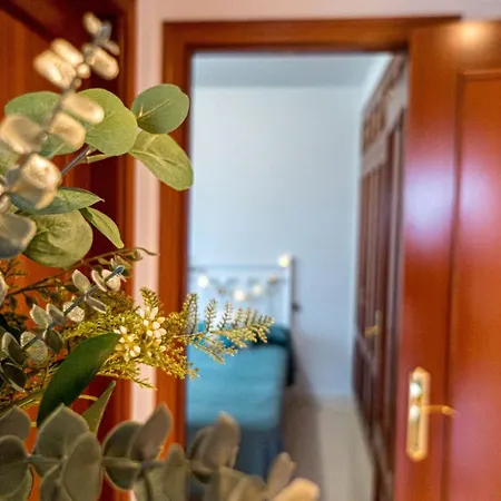 Apartament R&b Vistahermosa Views *